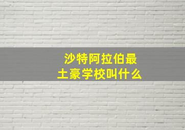 沙特阿拉伯最土豪学校叫什么