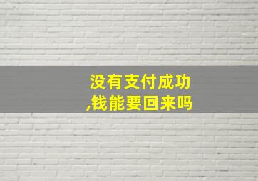 没有支付成功,钱能要回来吗