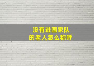 没有进国家队的老人怎么称呼