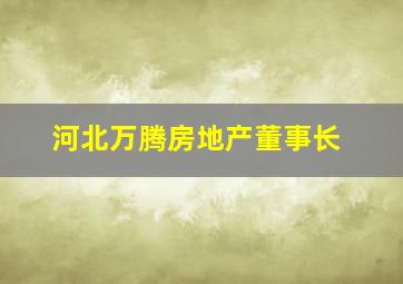 河北万腾房地产董事长