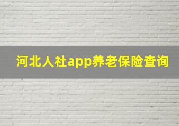 河北人社app养老保险查询