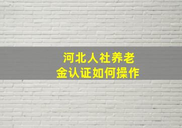 河北人社养老金认证如何操作