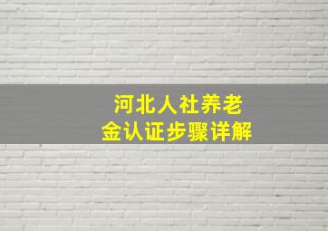 河北人社养老金认证步骤详解