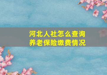 河北人社怎么查询养老保险缴费情况