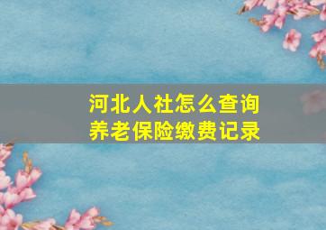 河北人社怎么查询养老保险缴费记录