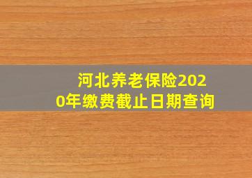 河北养老保险2020年缴费截止日期查询