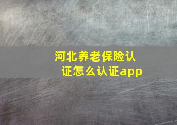 河北养老保险认证怎么认证app