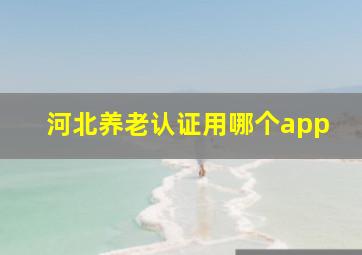 河北养老认证用哪个app