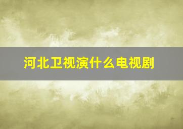 河北卫视演什么电视剧