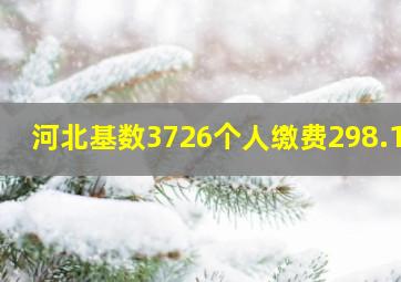 河北基数3726个人缴费298.13