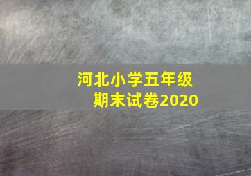 河北小学五年级期末试卷2020