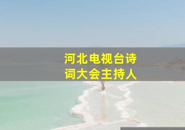 河北电视台诗词大会主持人