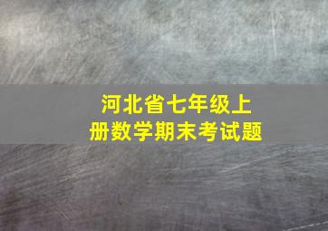 河北省七年级上册数学期末考试题