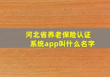 河北省养老保险认证系统app叫什么名字