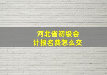 河北省初级会计报名费怎么交