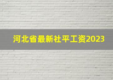 河北省最新社平工资2023