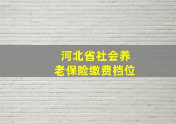 河北省社会养老保险缴费档位