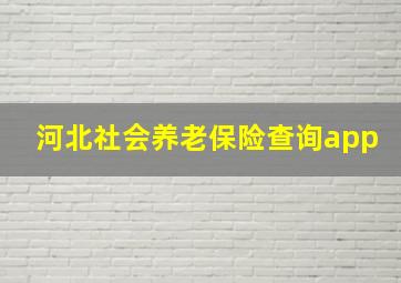 河北社会养老保险查询app