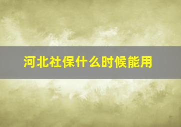 河北社保什么时候能用