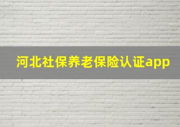 河北社保养老保险认证app