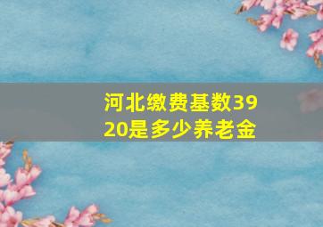 河北缴费基数3920是多少养老金