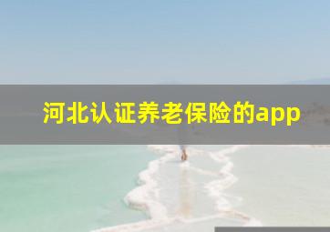 河北认证养老保险的app