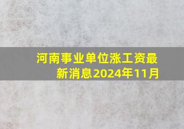 河南事业单位涨工资最新消息2024年11月