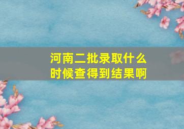 河南二批录取什么时候查得到结果啊