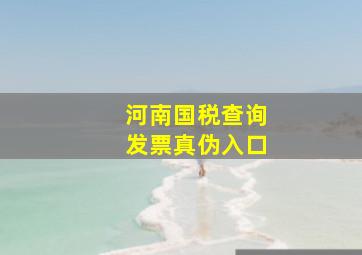 河南国税查询发票真伪入口