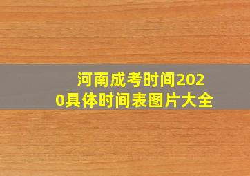 河南成考时间2020具体时间表图片大全