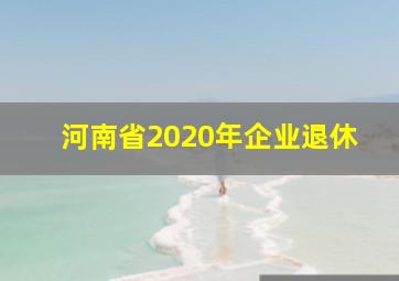 河南省2020年企业退休