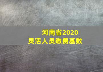 河南省2020灵活人员缴费基数