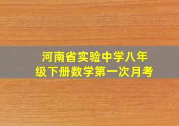 河南省实验中学八年级下册数学第一次月考