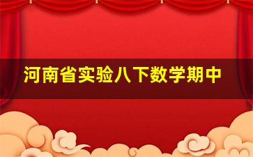 河南省实验八下数学期中