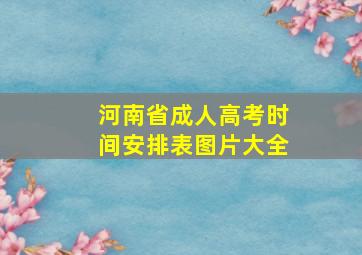 河南省成人高考时间安排表图片大全