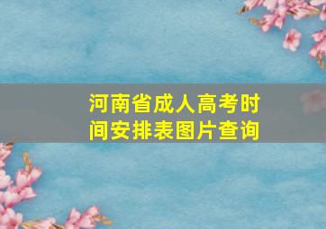 河南省成人高考时间安排表图片查询