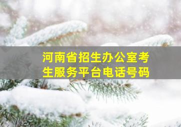 河南省招生办公室考生服务平台电话号码