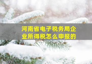 河南省电子税务局企业所得税怎么申报的