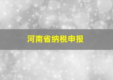 河南省纳税申报