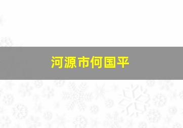 河源市何国平