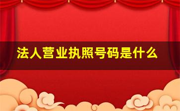 法人营业执照号码是什么