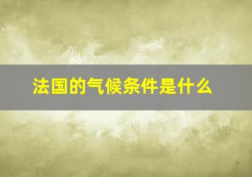 法国的气候条件是什么