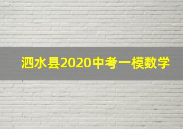 泗水县2020中考一模数学