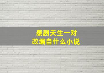 泰剧天生一对改编自什么小说