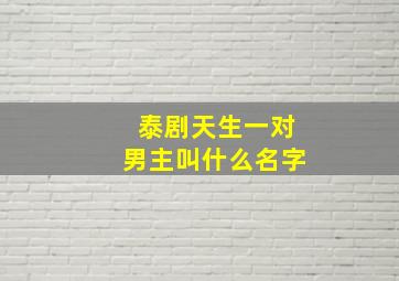 泰剧天生一对男主叫什么名字