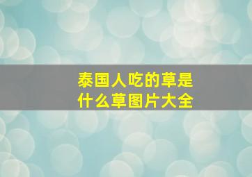 泰国人吃的草是什么草图片大全