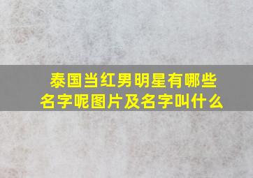 泰国当红男明星有哪些名字呢图片及名字叫什么