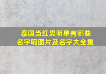 泰国当红男明星有哪些名字呢图片及名字大全集