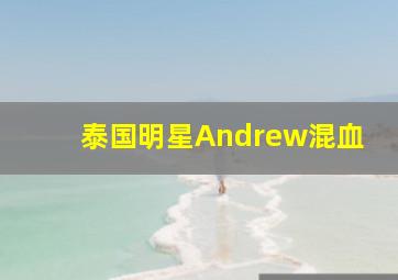 泰国明星Andrew混血