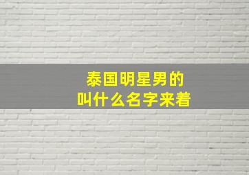 泰国明星男的叫什么名字来着